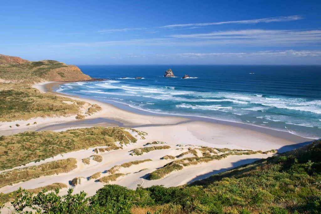 Dunedin-Otago-Peninsula-Sandfly-Bay