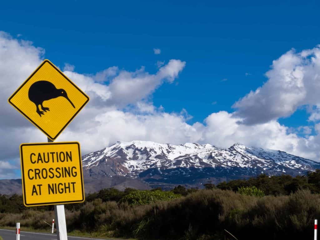 Tongariro-National-Park-Mount-Ruapehu
