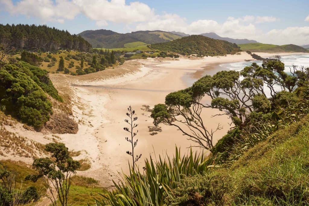 Whangarei-Heads-Te-Araroa-Trail-Ocean-Beach-Lookout