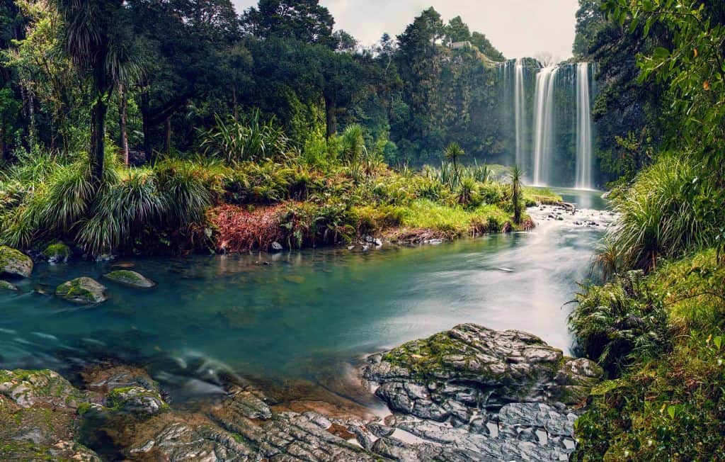 Whangarei-Scenic-Reserve-Whangarei-Falls